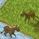 mr and mrs moose ay by raganaga