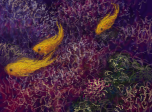 coral reef by razghul