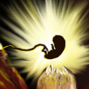 The birth by nickel