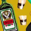 Happy birthday! Let's all drink Jagermeister! by nickel
