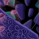 Jellyfish again by ezo