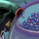 Depleted red blood cell storage area G19 by BlackTerror