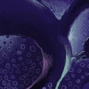 if you don't ask me what this is, i won't lie by carishon