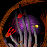 Aquatic Robot Fingers with Fear and Loathing of Aquatic Brain. by MrBeefy