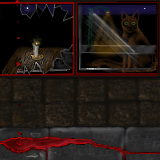 Cat as witness by dubious intellect