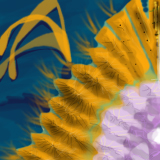 featherbird (from back) by magneticm