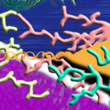 This was pretty hard to blend... by takkie