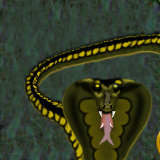 Ssssss...... by takkie