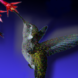 Flight of the hummingbird. by PixelPolisher