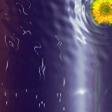 wish I had some more flower pics by goldflesh