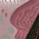 sinus, yummm by raganaga