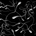 yay sperm... by rotorstrut