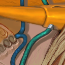 hoses and stuff by raganaga