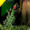 Mrs.Wiggins vineyard by LongIslandEddie