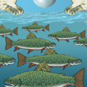 heeere, fishy fishy... ^_^ by toggle