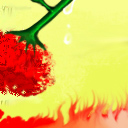 red rose by Syclone