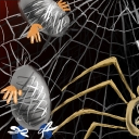 Victims of the hourglass spider by MarXidad