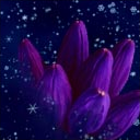 by Snowflake