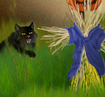 here kitty kitty kitty by sookeyjane