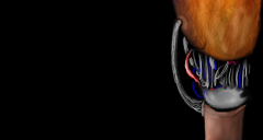 first tile in a long time! by heinzon