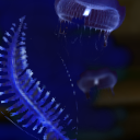 Bioluminescent denizens of the deep... by wahwho
