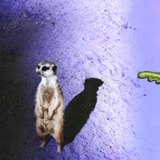 'Did you hear that, guys?' - Not a lot to do with the protruding greeny thing.. :) by juzmental