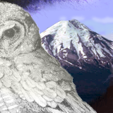 There's always one edge in a three sider you just can't figure out by miskate