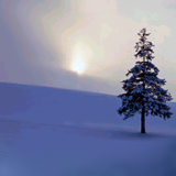 Isn't snow beautiful? by Kim