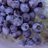Shmushed Blueberry Goo... or maybe some sort of fungus. meh. by aria