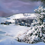 Snow Scene by root88