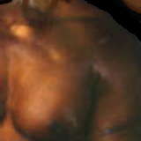 what a beefcake! by greg