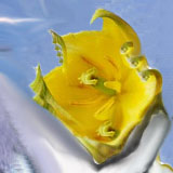 Utrip by jmaguire123