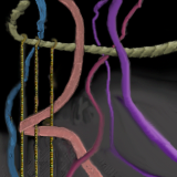 Strings by baskerbosse