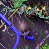 harvest by LongIslandEddie