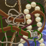 The Gordian Knot Was Solved. by samuelf