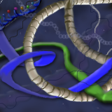 splitting the rope by miskate