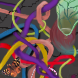 pitcher plant and a tangled mess by miskate