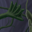 Frog or lizard or reptilian arm. by antaydos