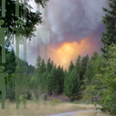 Lemmings by capnal2001