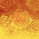 My Favorite Color Rose. by gecko