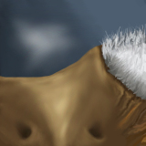 Nostrils and fuzz by antaydos