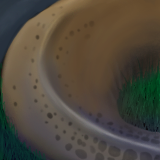 Sort of... Shark tail? by gecko