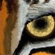 tiger eye by miskate