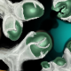 Spawning alien eggs? you decide... by aria