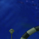 Under the water in a inca ruin by Straxz