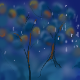 peaches and snow by Kim