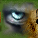 The eye... right? by Le_Saint