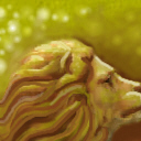 The Lion by Carmaloo