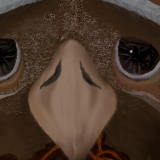 hello birdie... my first attempt at drawing with a tablet by miskate
