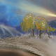 lights in the sky by Kim